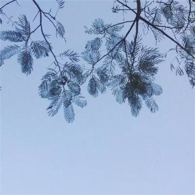 现世屠鲲传游戏最新版下载