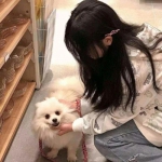 山海经之上古神兽手游下载